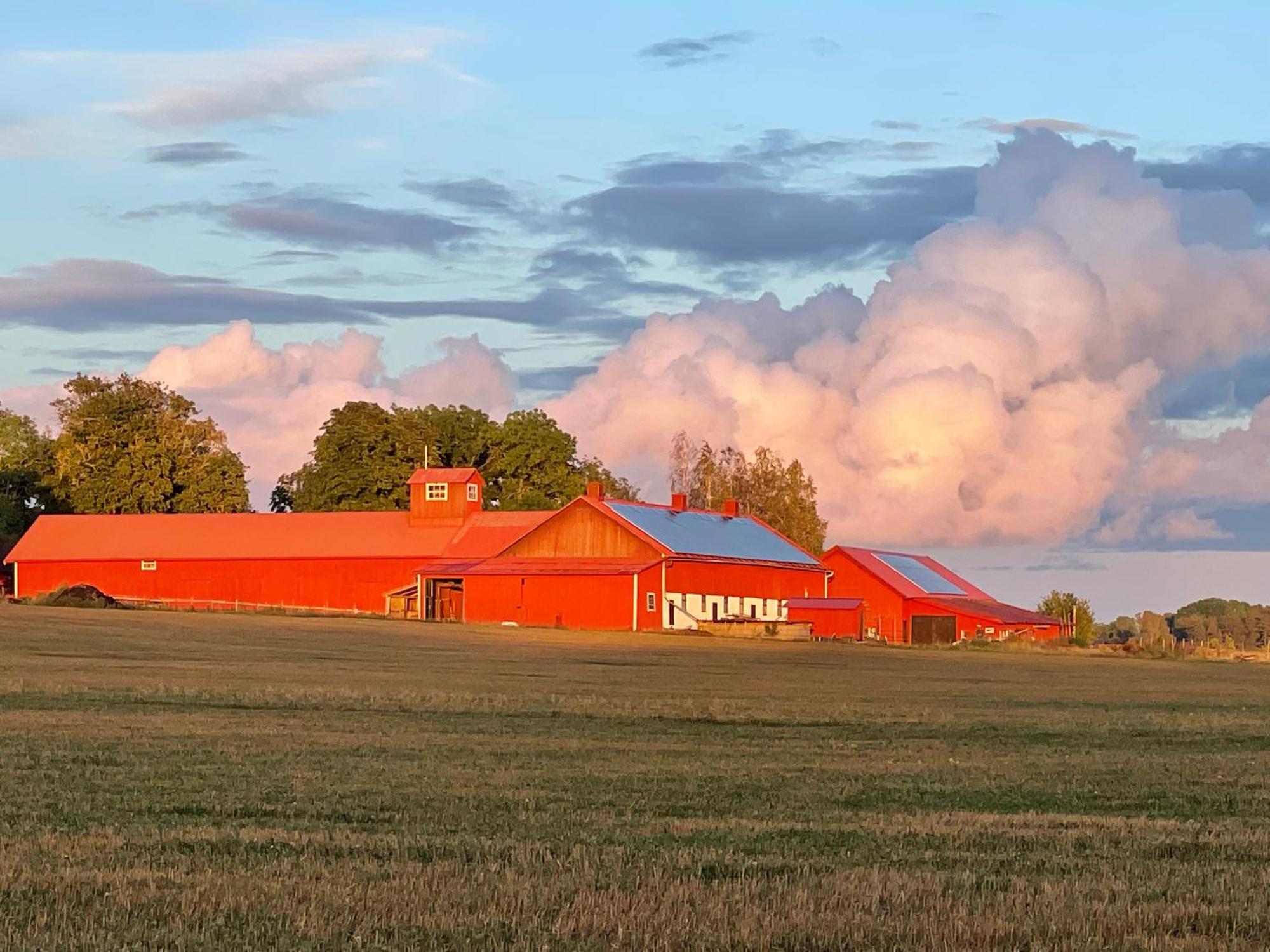 Kroksta Gard Maalaistalot Bälinge